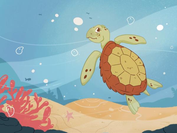 LA TORTUGA FLORETA