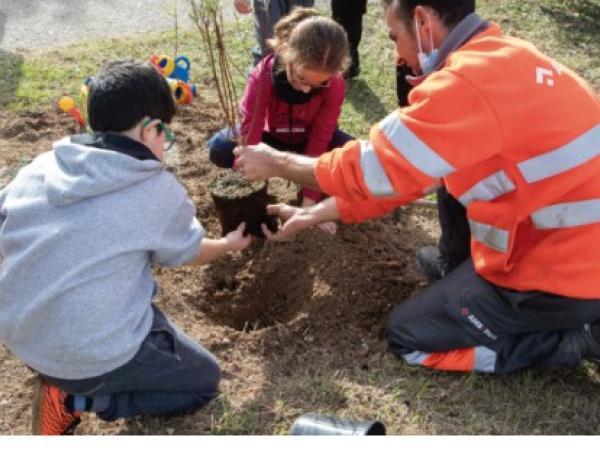 Jugateca del Parc del Riu: Millorem la vegetació del riu