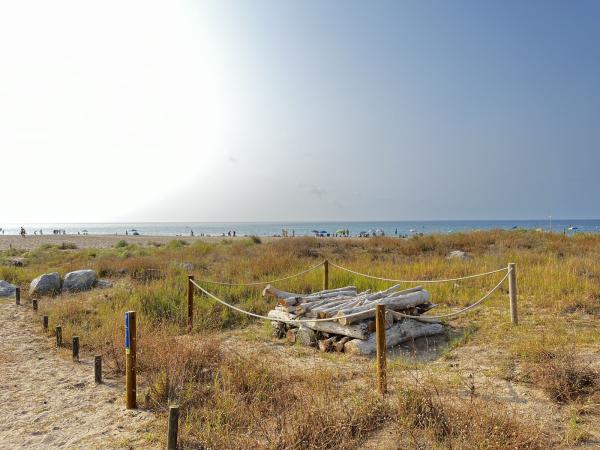 Descobrim els hotels d'insectes de la platja