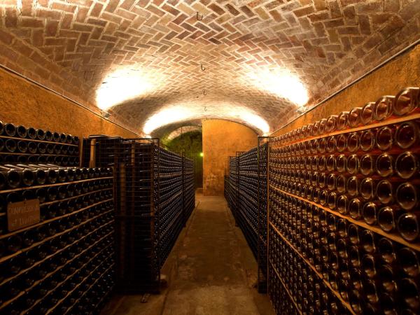 Cava Canals Canals i Museu del Cava Ramon Canals