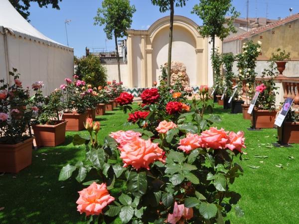 Exposició Nacional de Roses de Sant Feliu de Llobregat
