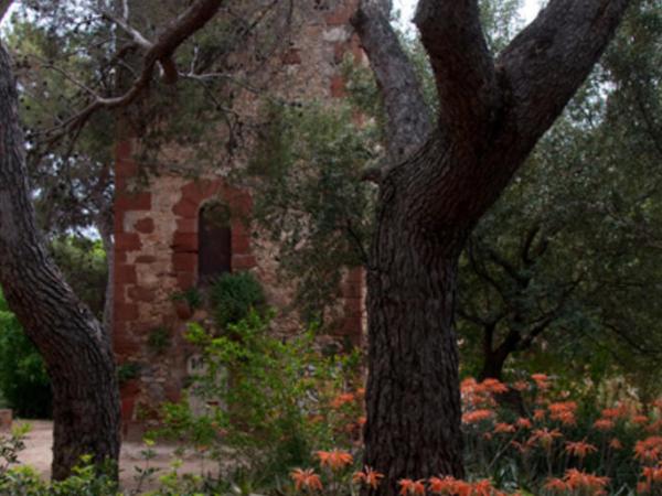 Torre de guaita de la Masia de Can Valls