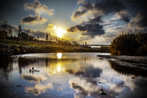 1r premi Jose Reyes Belzunce - Puesta de sol (Cornellà de Llobregat).jpg