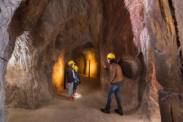 Descobreix el Baix Llobregat en família amb el “El tren dels exploradors”