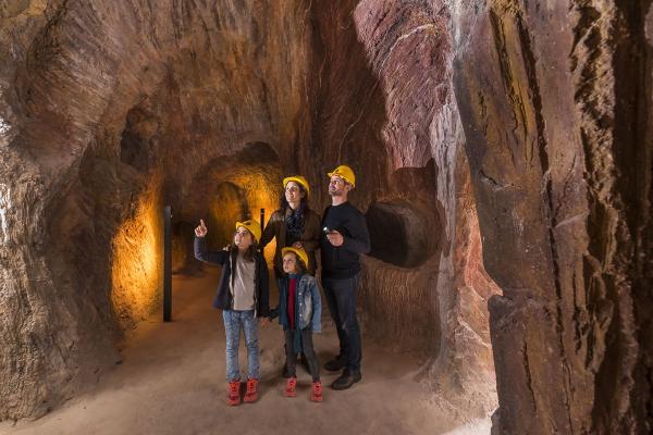 Descobreix el Baix Llobregat en família amb el “El tren dels exploradors”