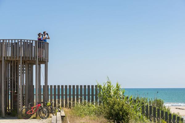 Nova edició de Sostibaix amb una quinzena plena d'activitats sostenibles al Baix Llobregat