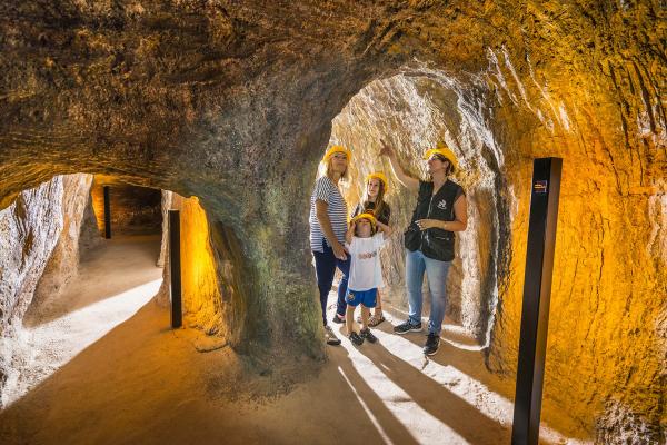 Descobreix el Baix Llobregat en família amb el “El tren dels exploradors”