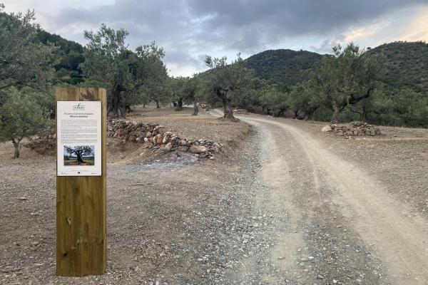 Els visitants ja poden gaudir del ‘balcó’ d’Olesa de Montserrat 