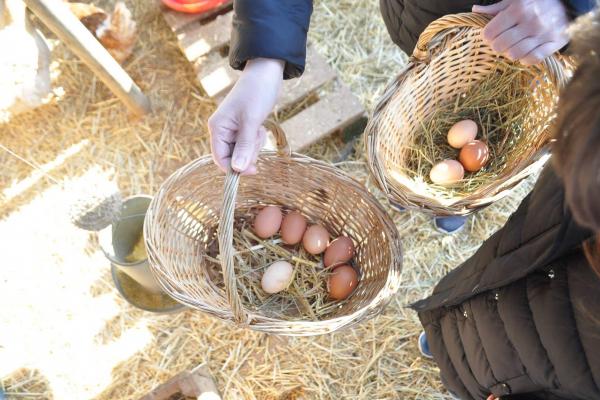 Aquest abril arriba el SuperMes ple de propostes familiars amb descomptes al Baix Llobregat