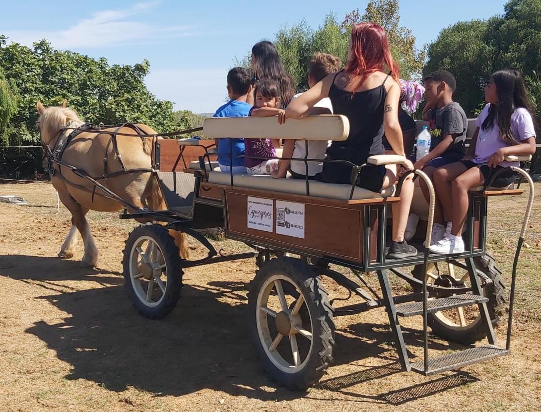 La granja i el món del cavall