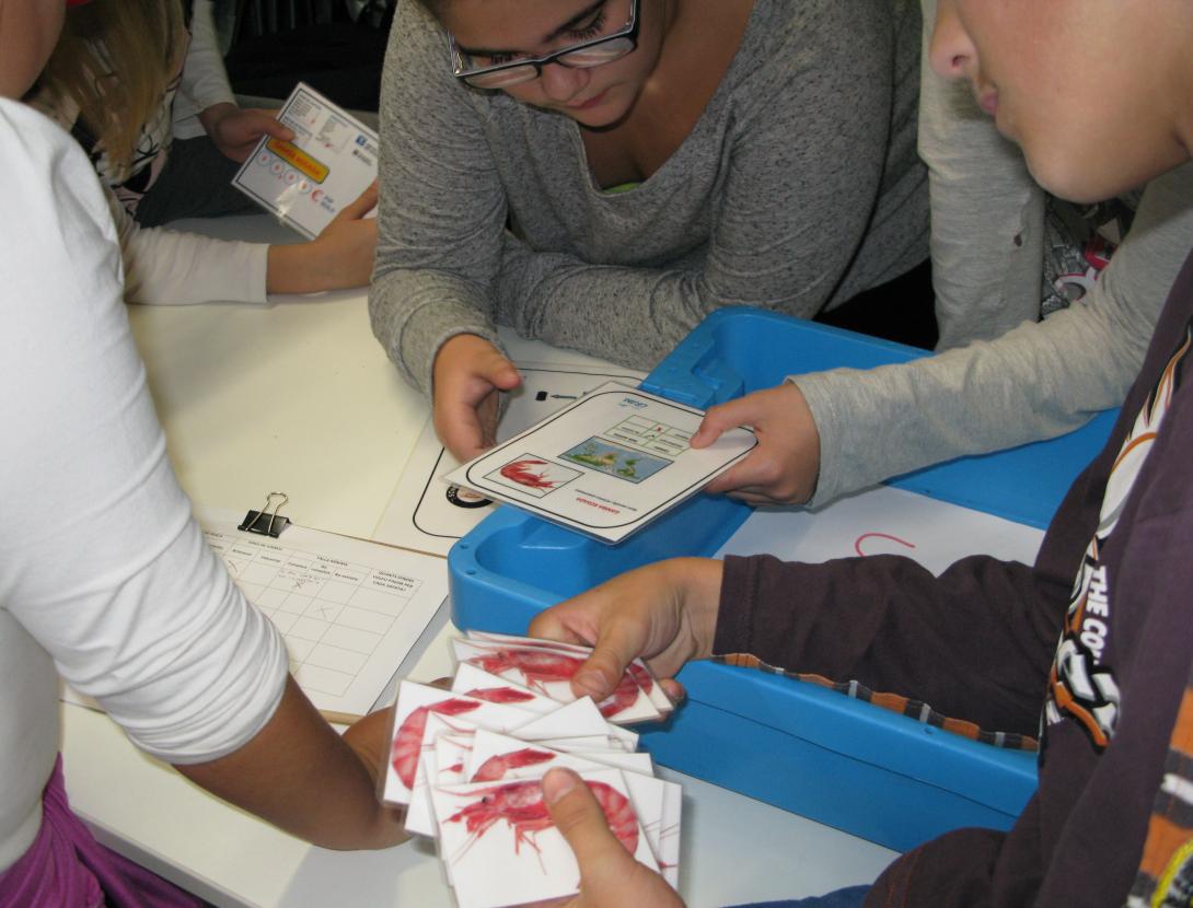 Compra peix amb el cap(CM_2)0758.JPG