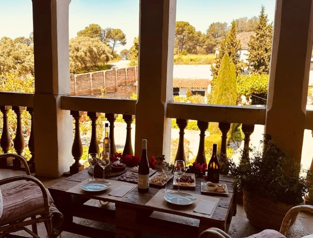 Verema al celler: Dinar de pagès, visita i trepitjada de raïm