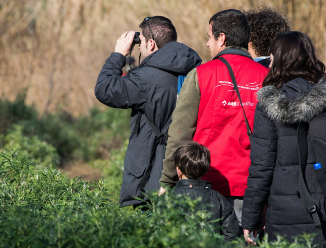 Jugatecambiental: 8è Bioblitz Metropolità. Ciència ciutadana