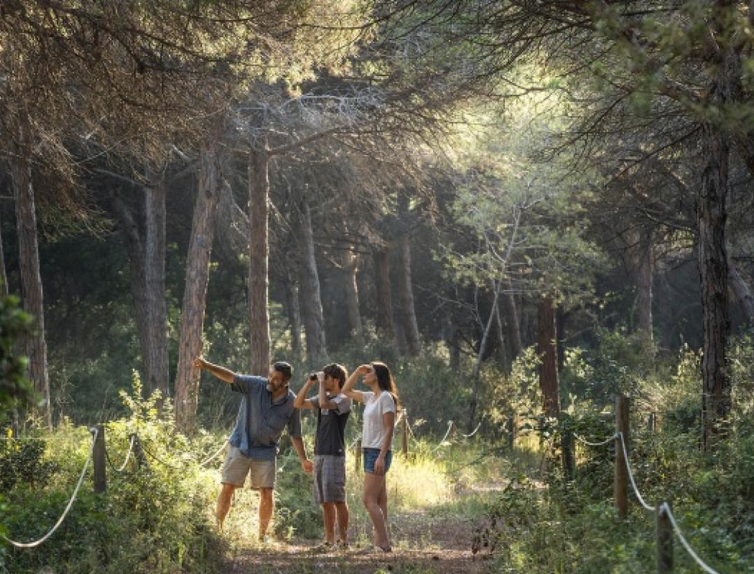 VISITA GUIADA A LA PINEDA DE CAN CAMINS
