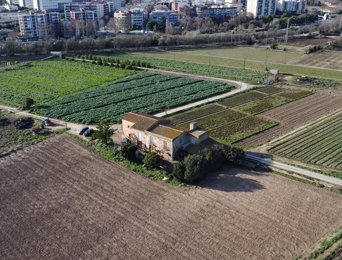 Visites amb esmorzar de pagès al Nano Farinetes