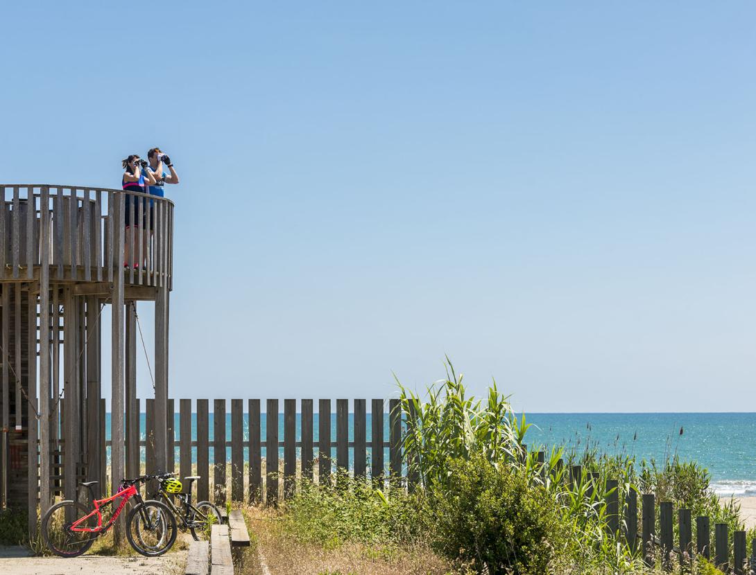 Descobreix la Costa del Delta del Llobregat