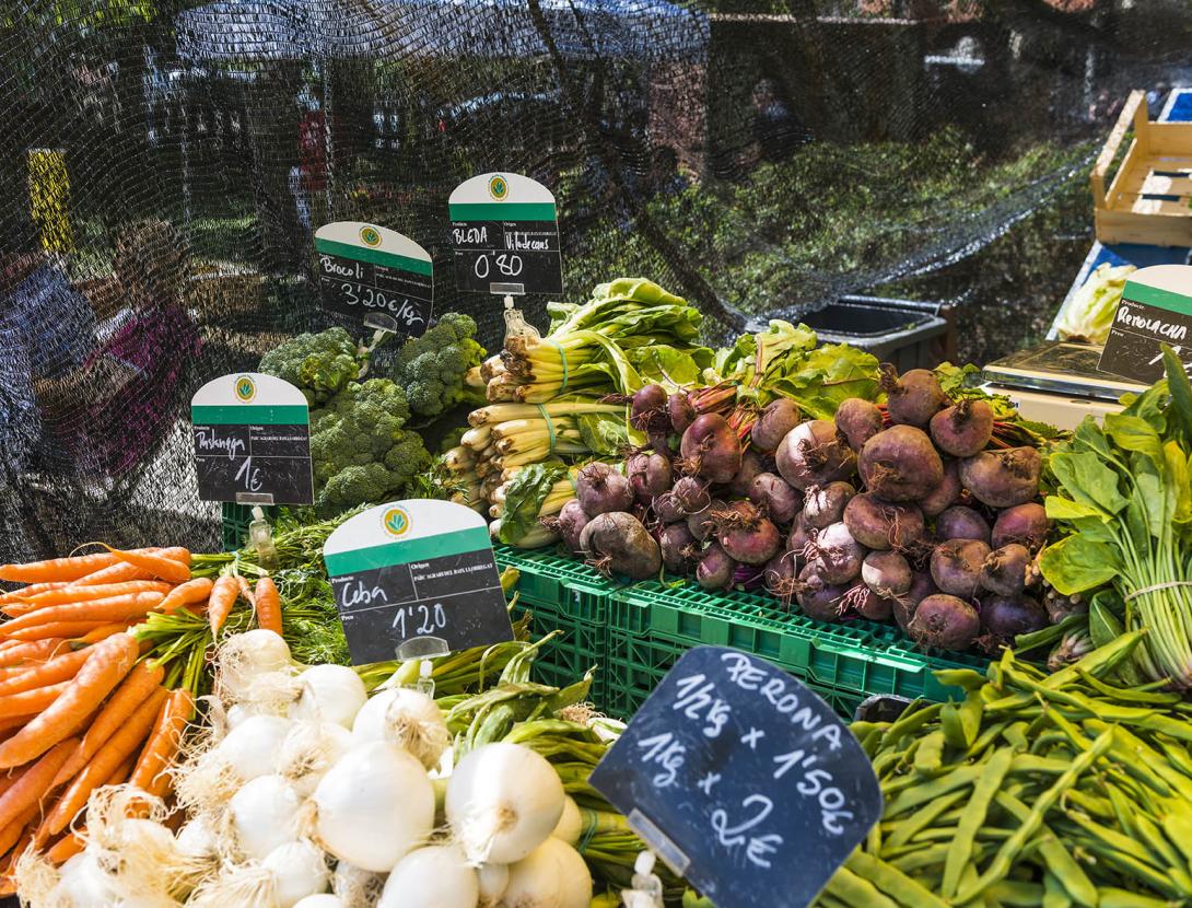 Descomptes de la Ruta del Tram!