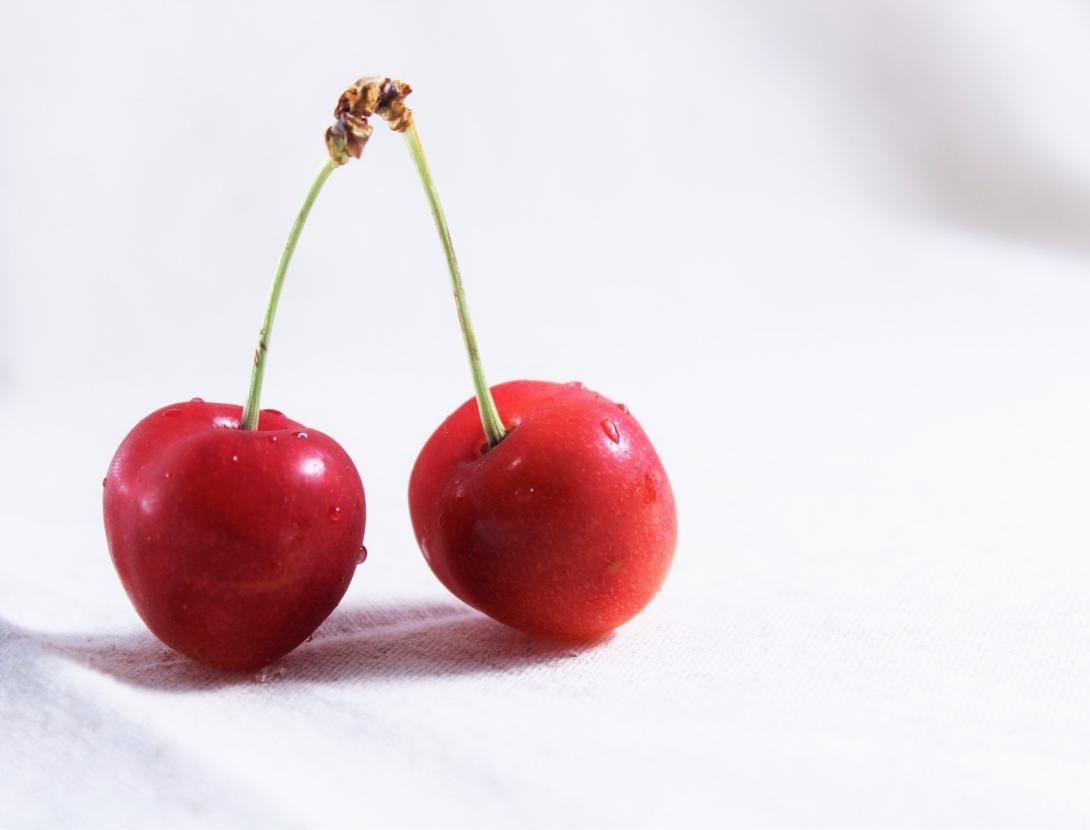 43a Festa de la Cirera