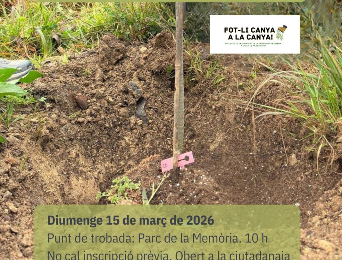 4a Plantada popular a l'Areny del Molí