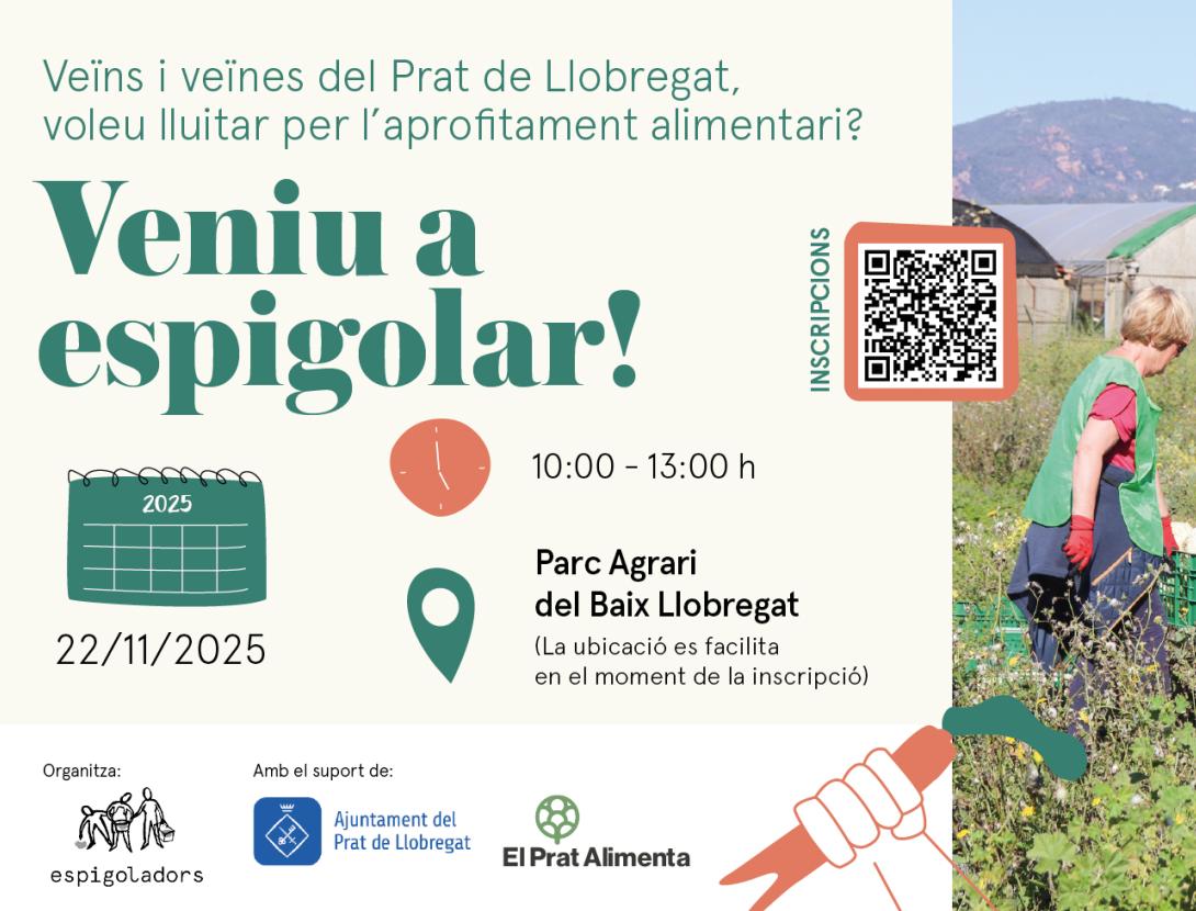 Espigolada popular al Parc Agrari del Baix Llobregat