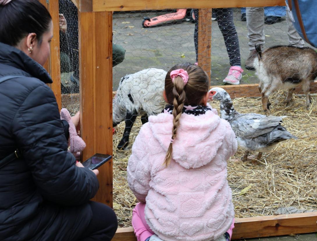Corral nadalenc a &quot;L'Enrajolada&quot;, Casa Museu Santacana.