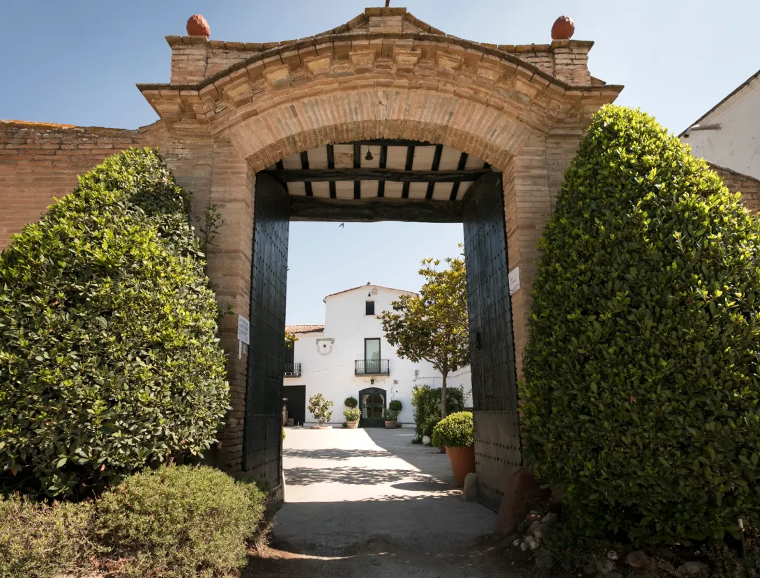 Verema al celler: Dinar de pagès, visita i trepitjada de raïm