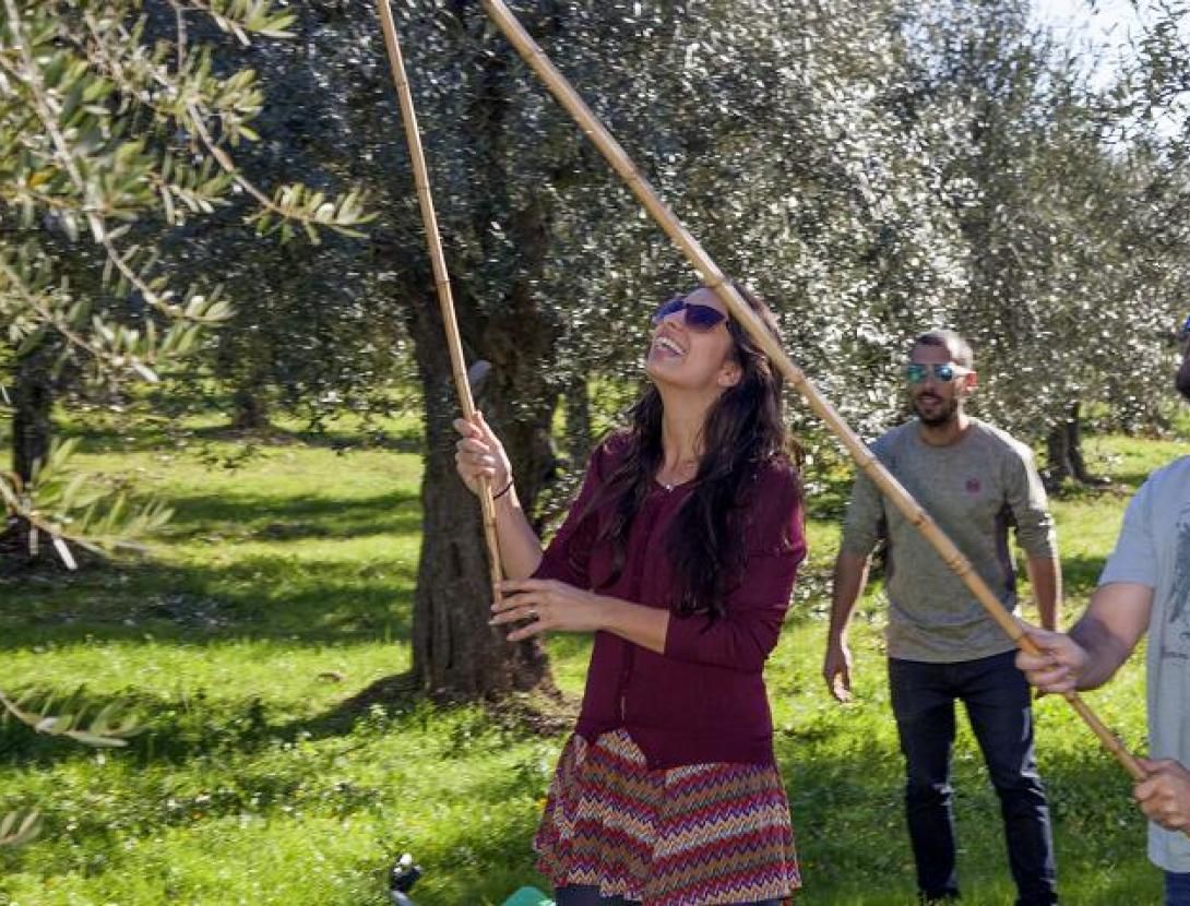 Collbató oli turisme f7914973.jpg