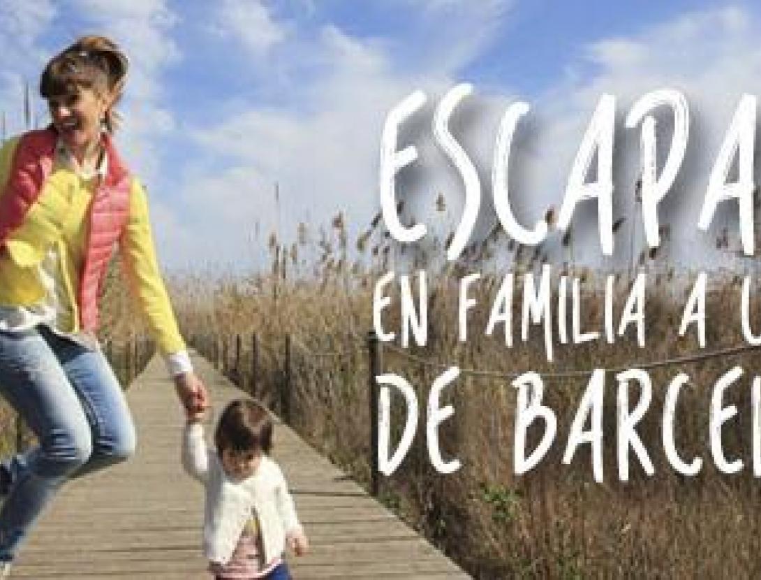 cupons families_cat.jpg