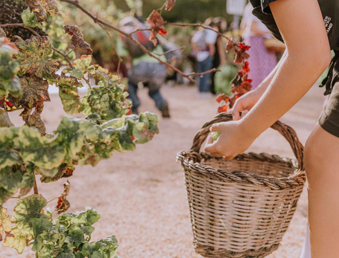Festa del Roser a Martorell