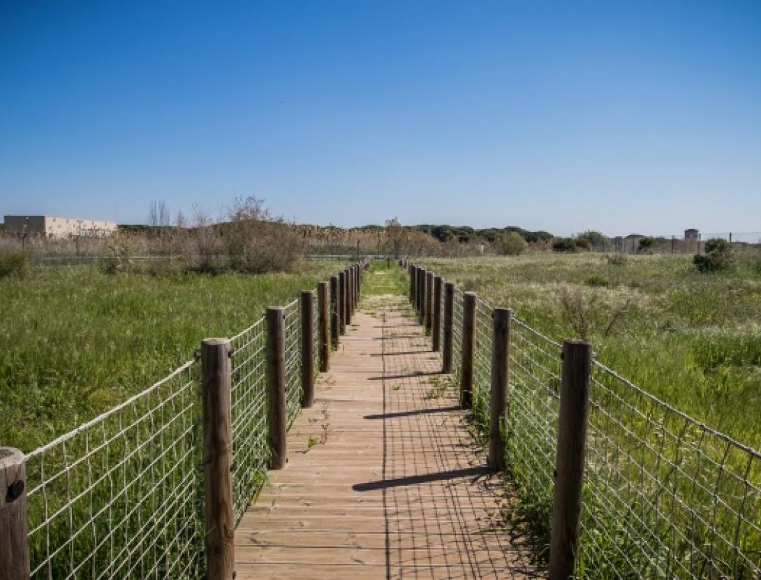 Can Camins. Oficina de Turismo del Prat