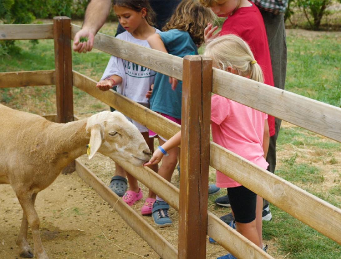 Granja Espai Botànic Les Tanques