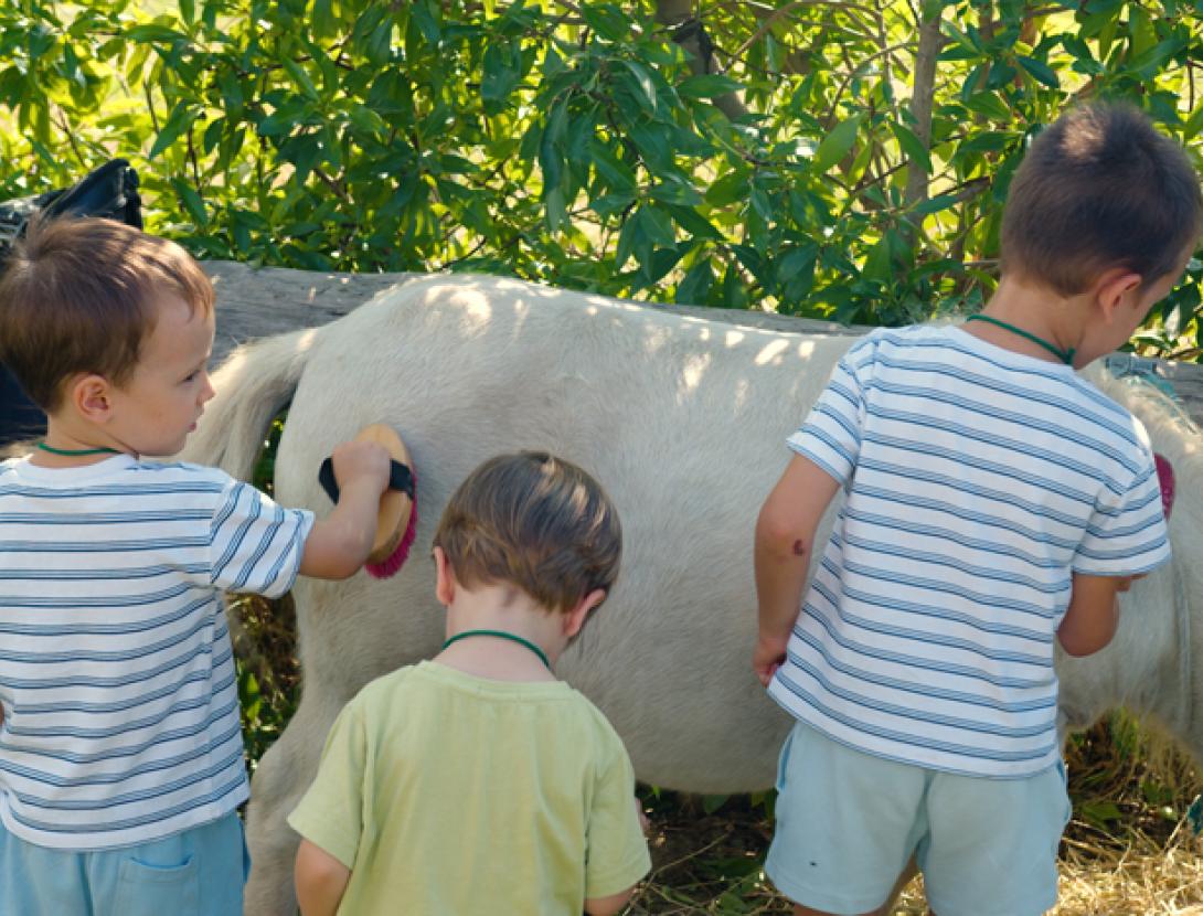 Granja Espai Botànic Les Tanques